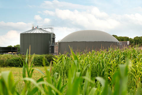 Biogasanlage Schloss Wissen