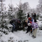 Weihnachtsbaum selber schlagen im schneebedeckten Schloss Wissener Wald