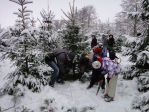 Weihnachtsbaum selber schlagen im schneebedeckten Schloss Wissener Wald